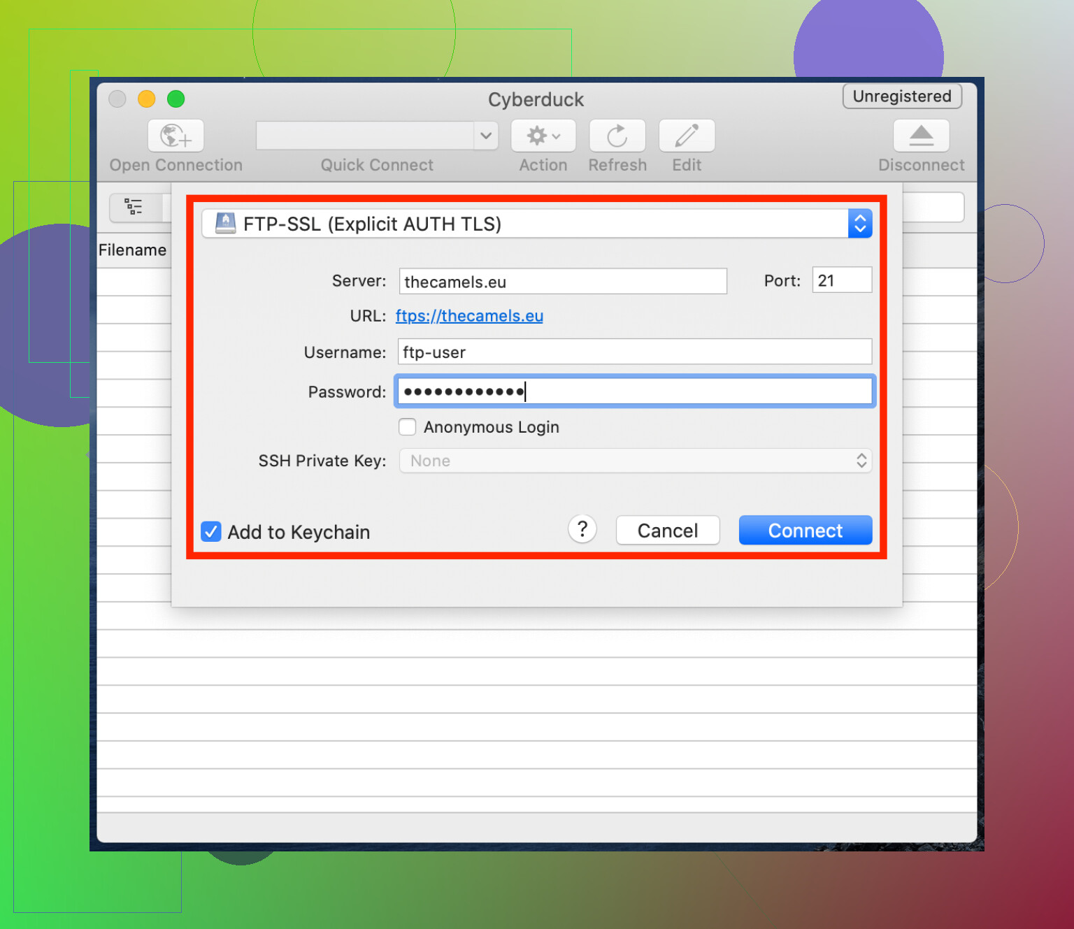Step 2: Connect to your GoDaddy hosting via FileZilla